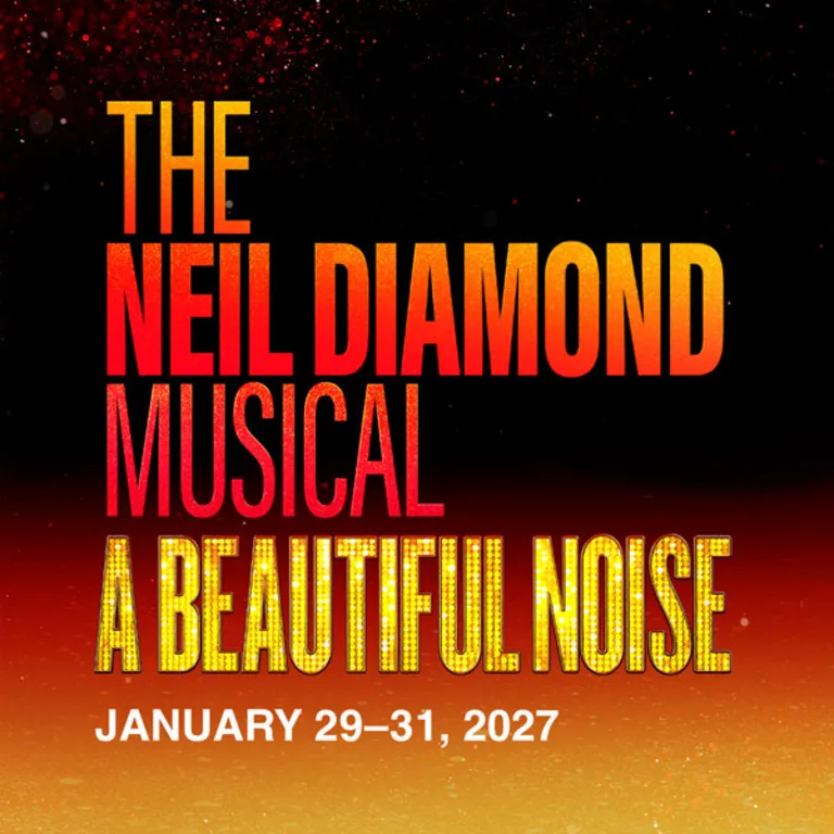Image A Beautiful Noise