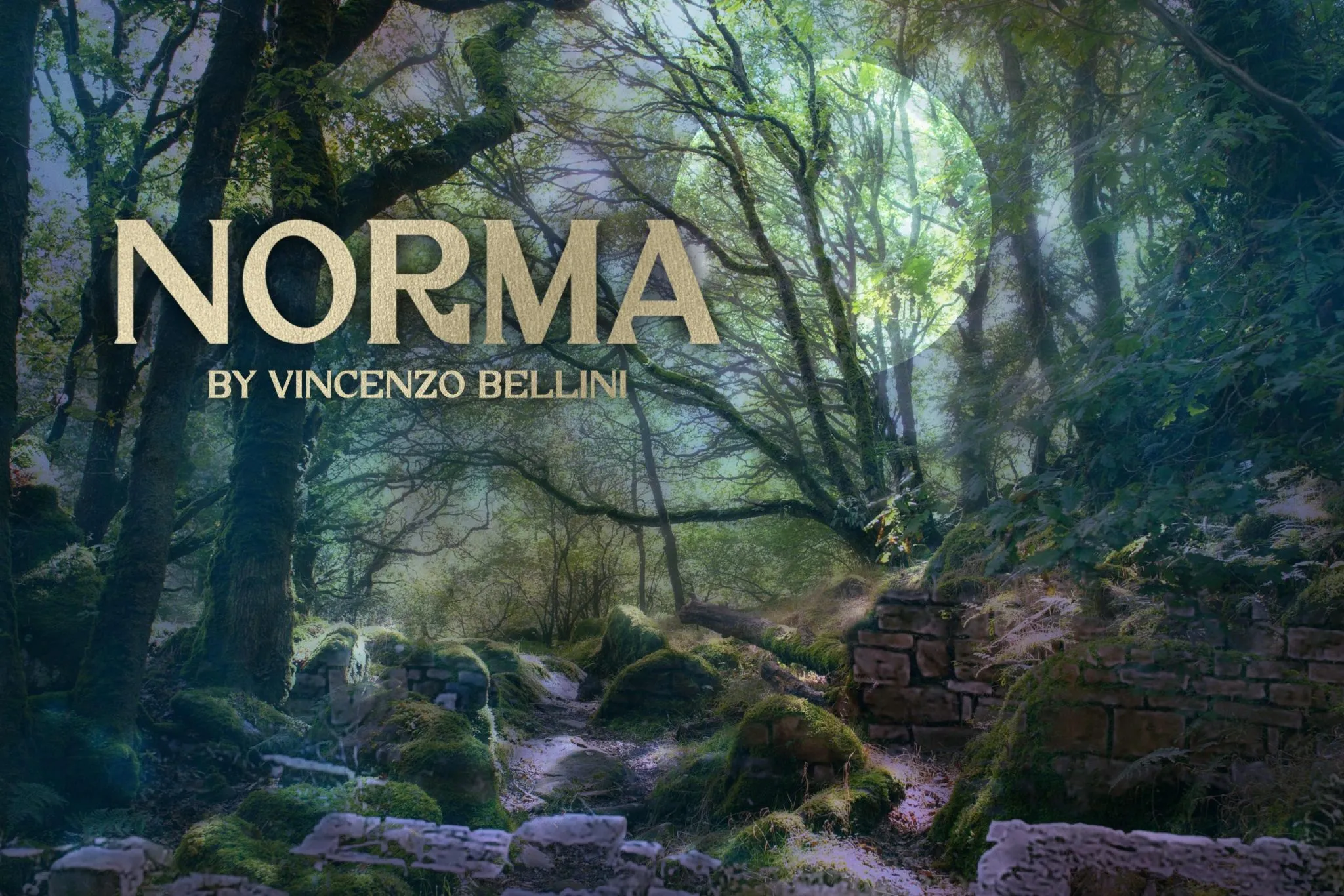 Image Norma
