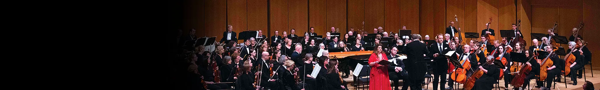 Image Evanston Symphony Orchestra