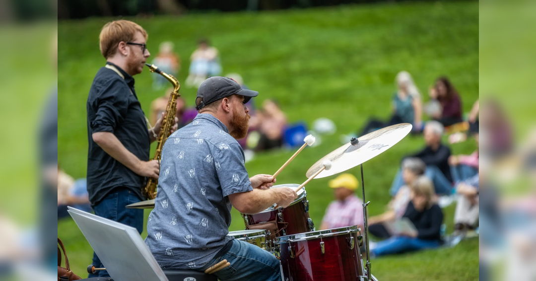 Image Tregaron Meadow Concert