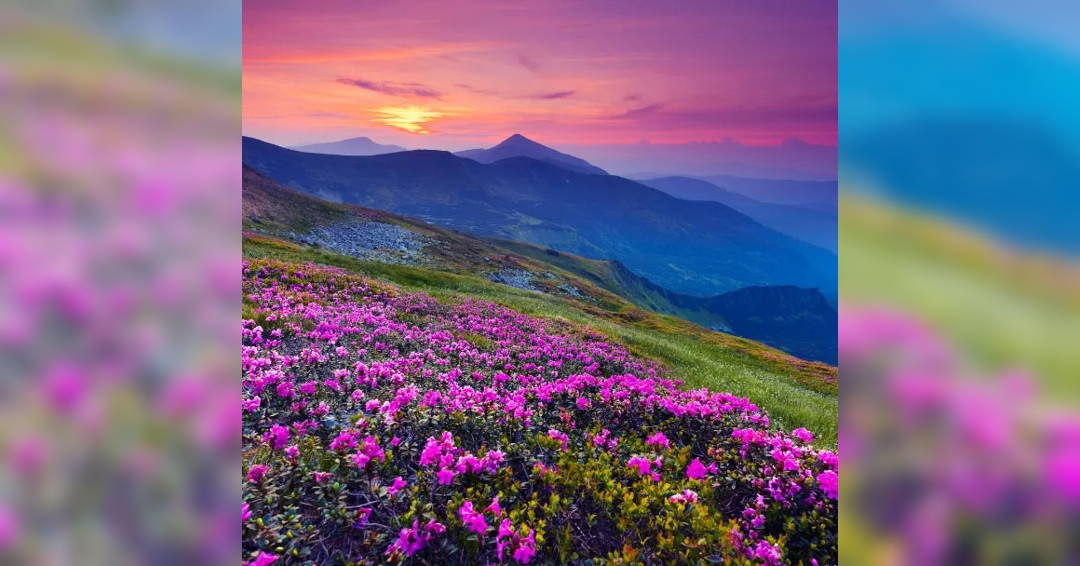 Image Friday Favorites: Appalachian Spring