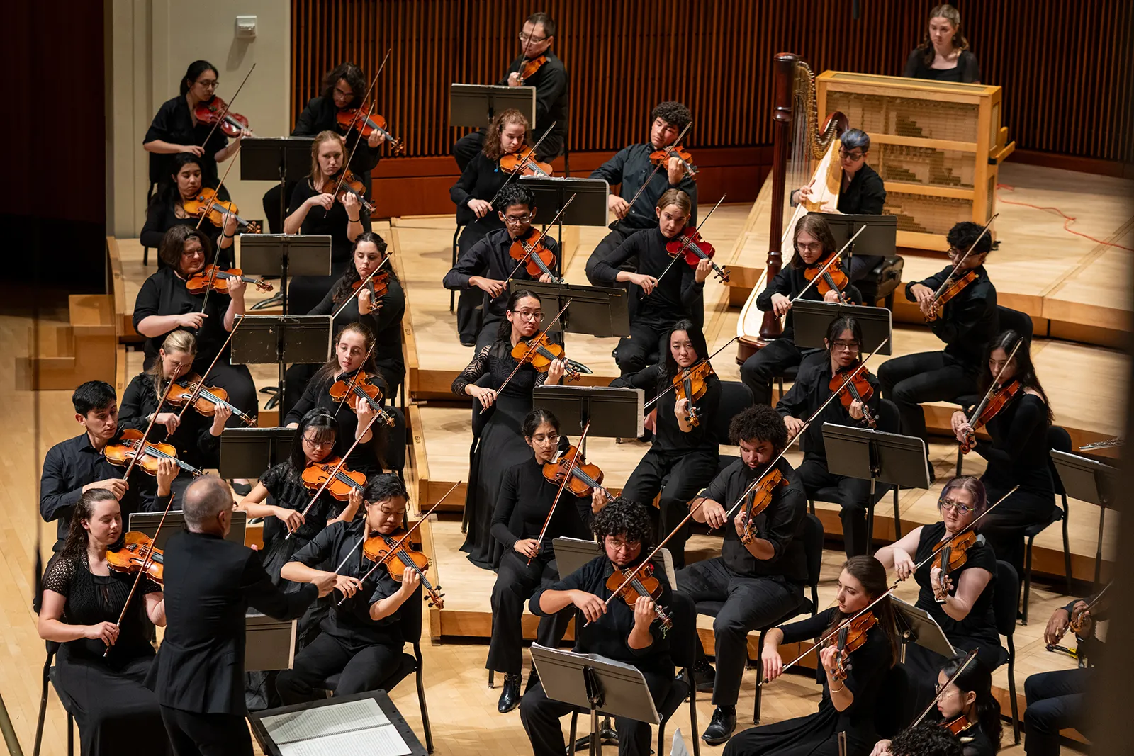 Image Beethoven's Ninth: UMD Symphony Orchestra with UMD Concert Choir