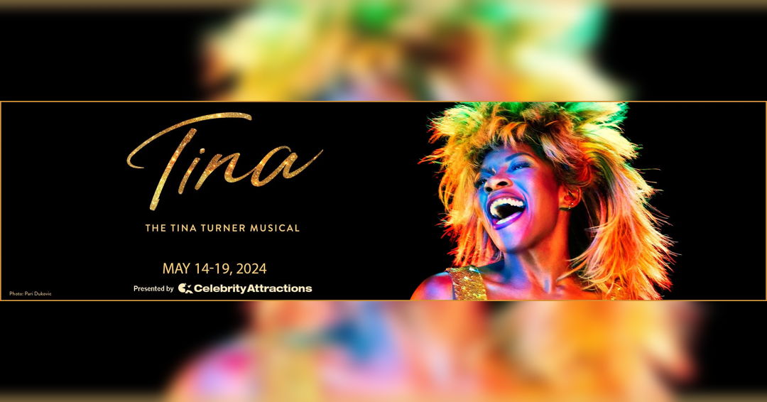 Image Tina - The Tina Turner Musical