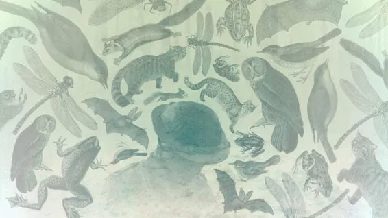 Image Chetham’s Opera – L’enfant et les sortilèges