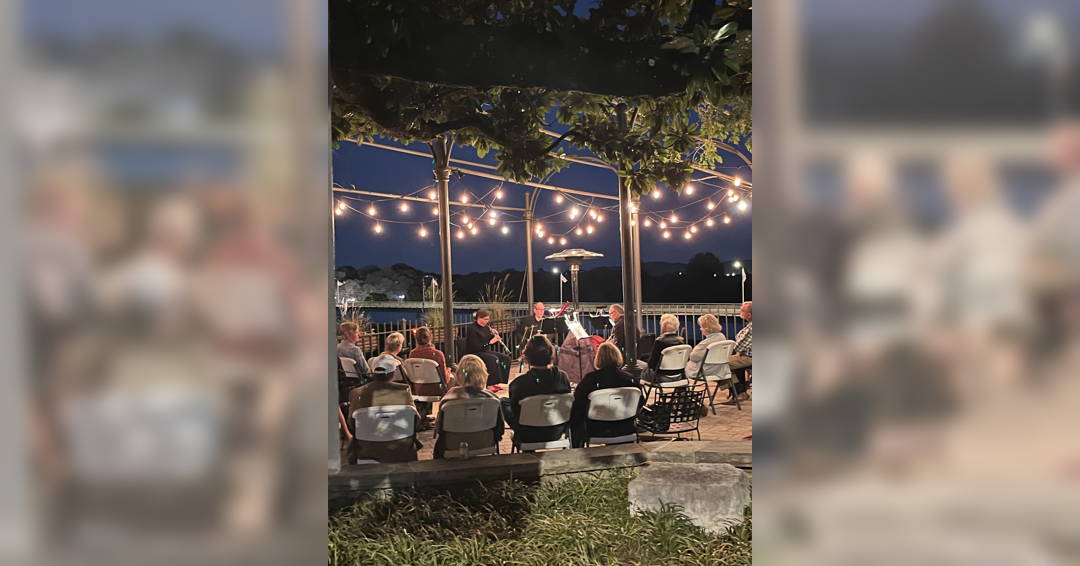 Image Houston Museum Pop-Up Concert