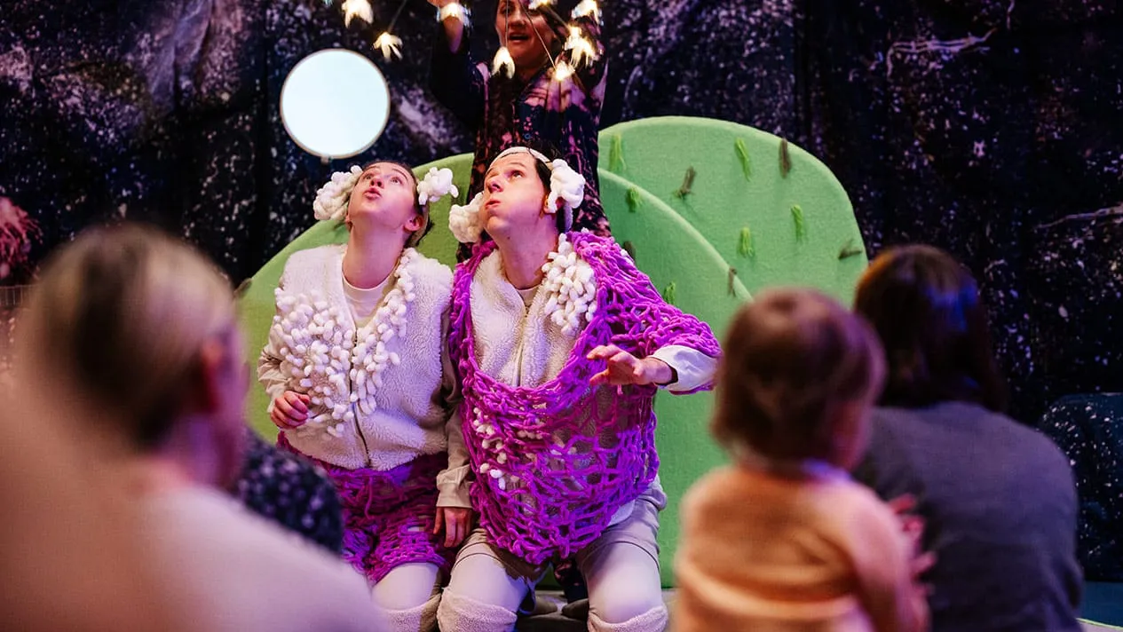 Image Counting Sheeps