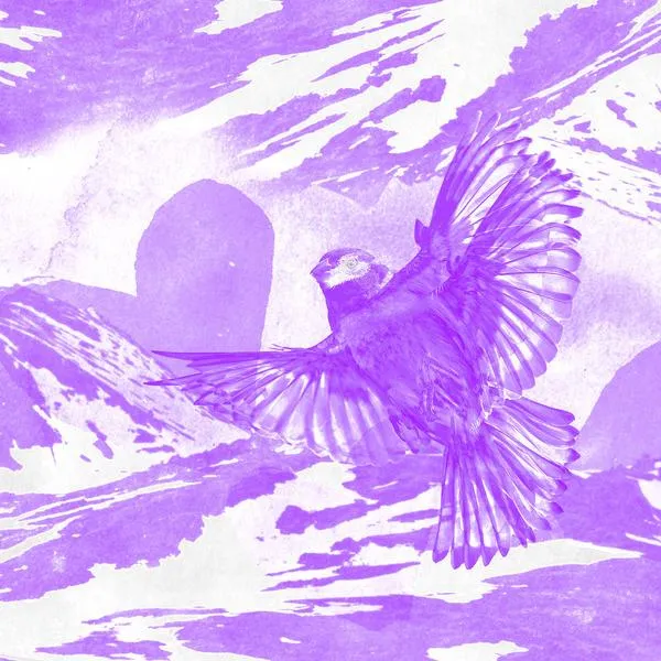 Image The Mountain That Loved a Bird