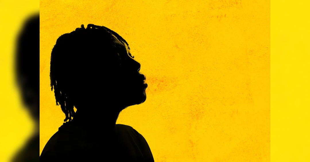 Image A Raisin in the Sun