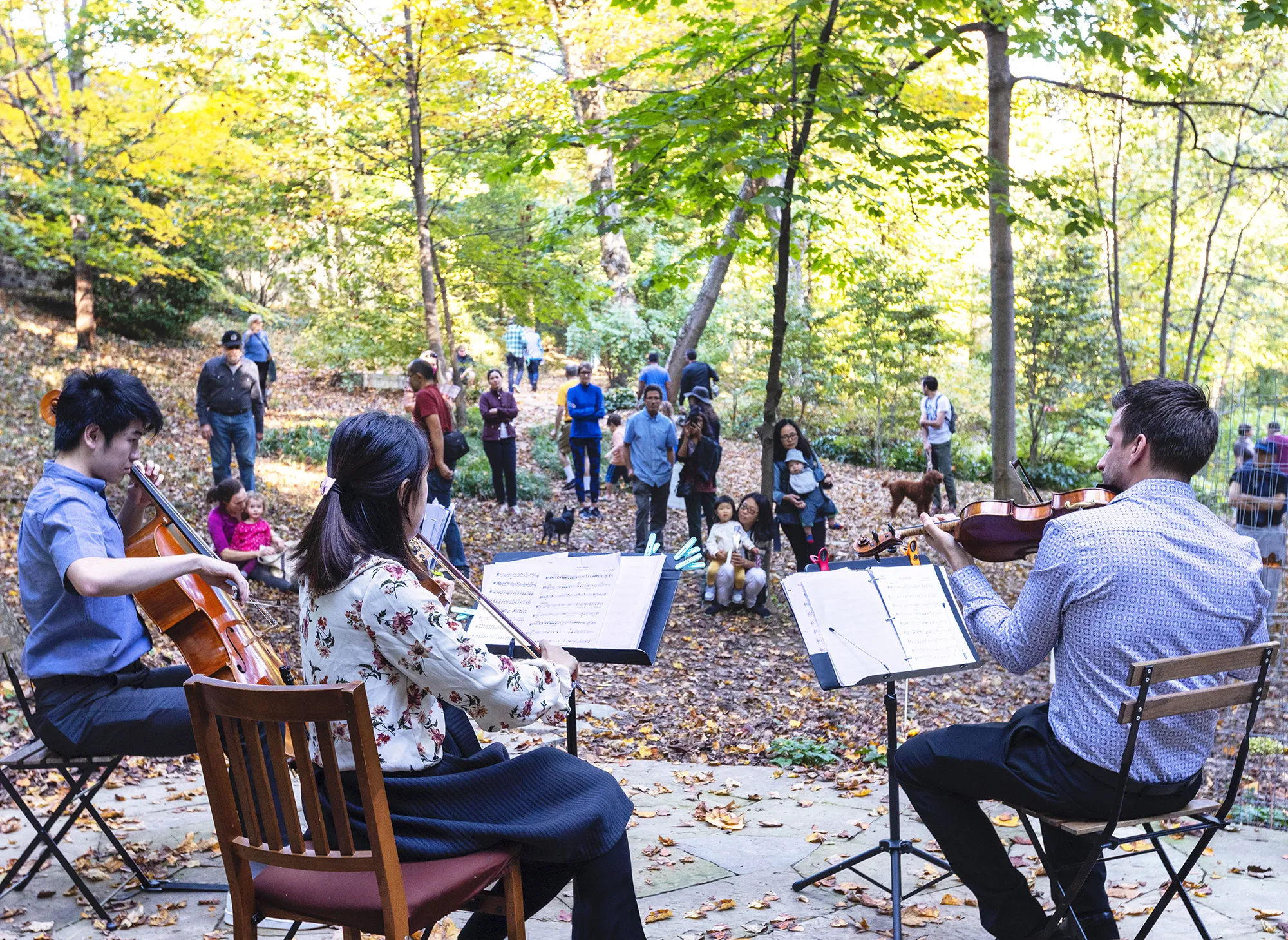 Tregaron Meadow Concert