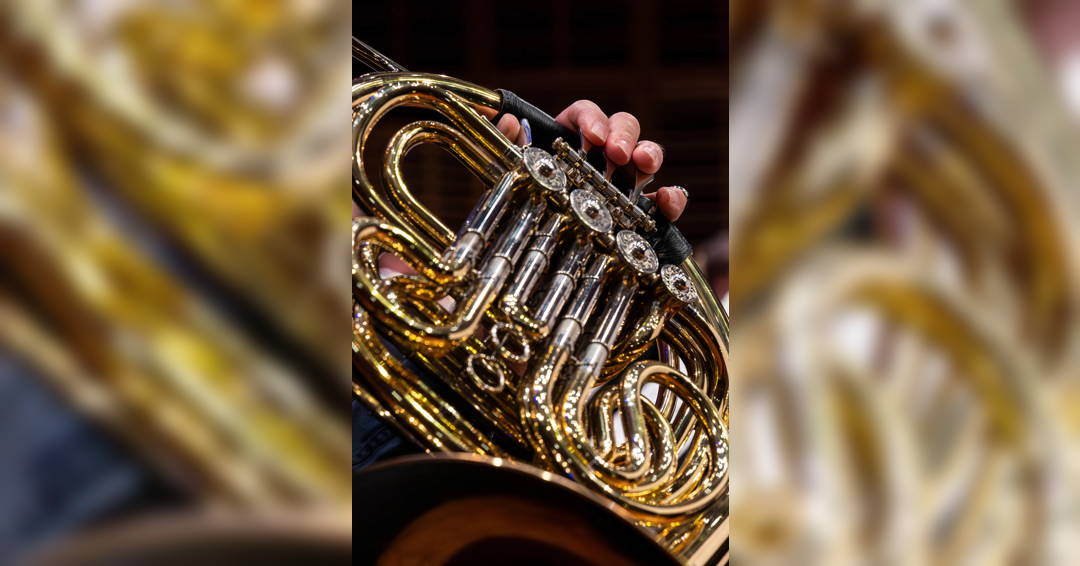 A Symphony for All: Exploring the North Sydney Symphony Orchestra's 2025 Concerts