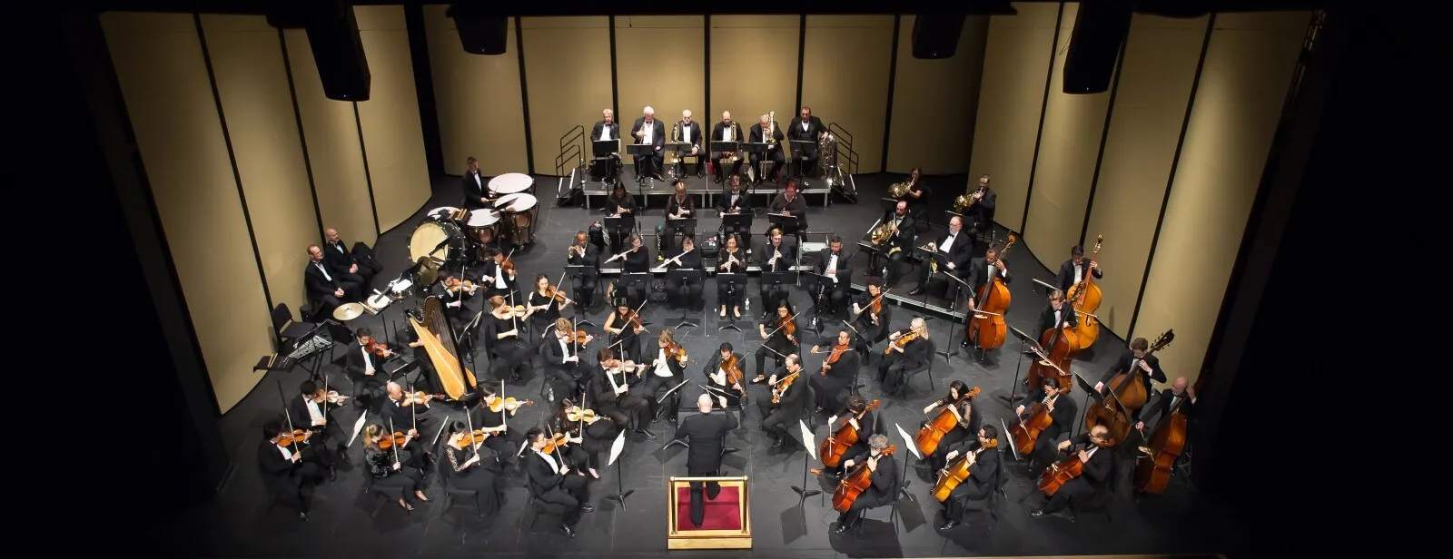 Image Rapides Symphony Orchestra