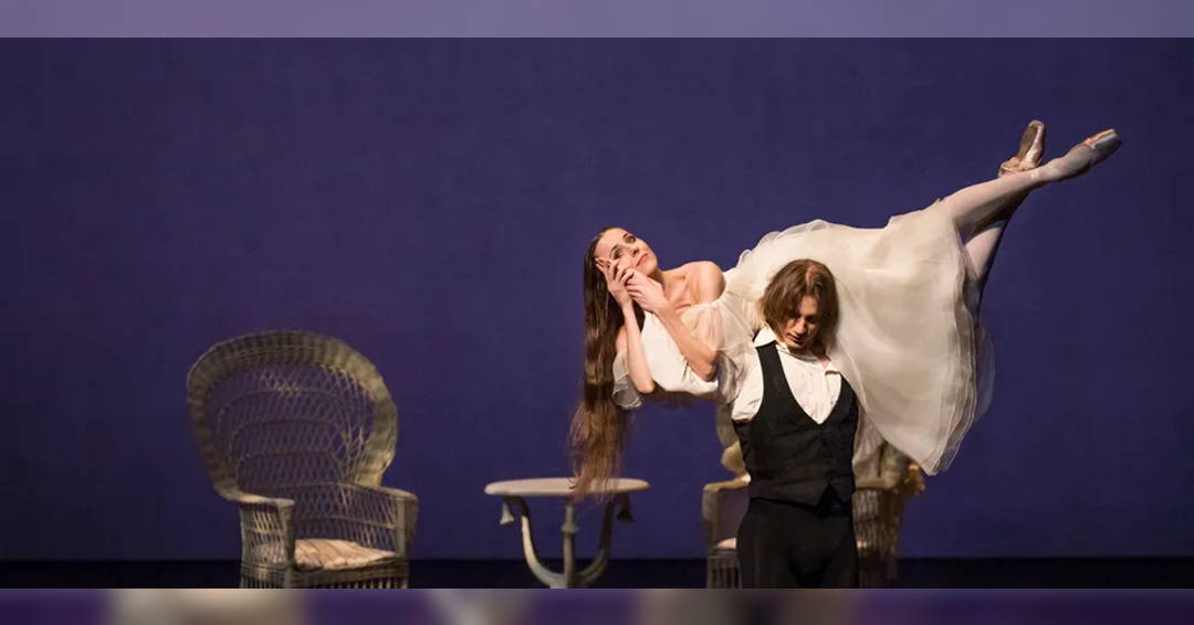 Image Lady of the Camellias