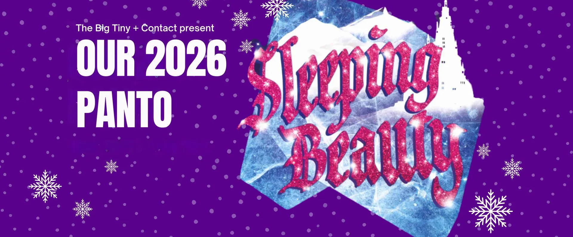 Image Sleeping Beauty Pantomime