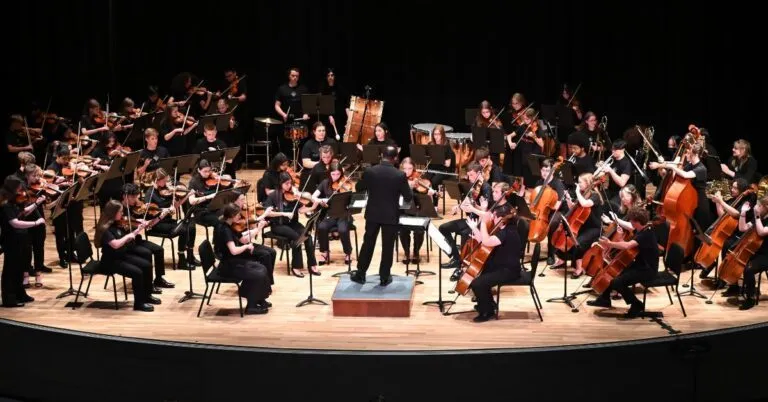 Image WPS Youth Orchestras Spring Concert (Debut Strings and Youth Symphony)
