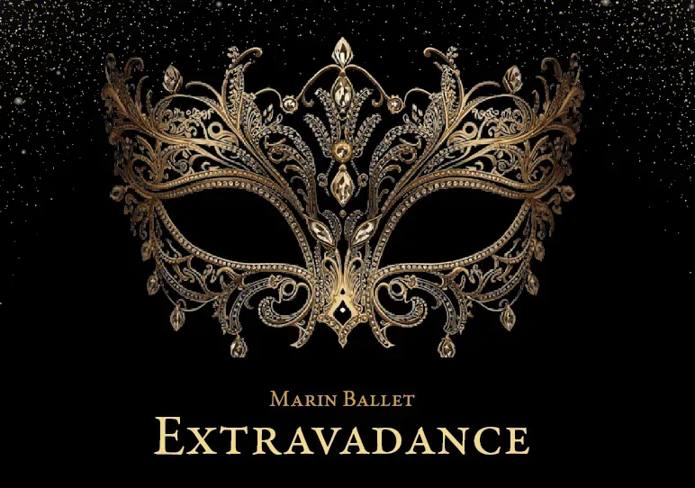 Image Extravadance Gala Fundraiser