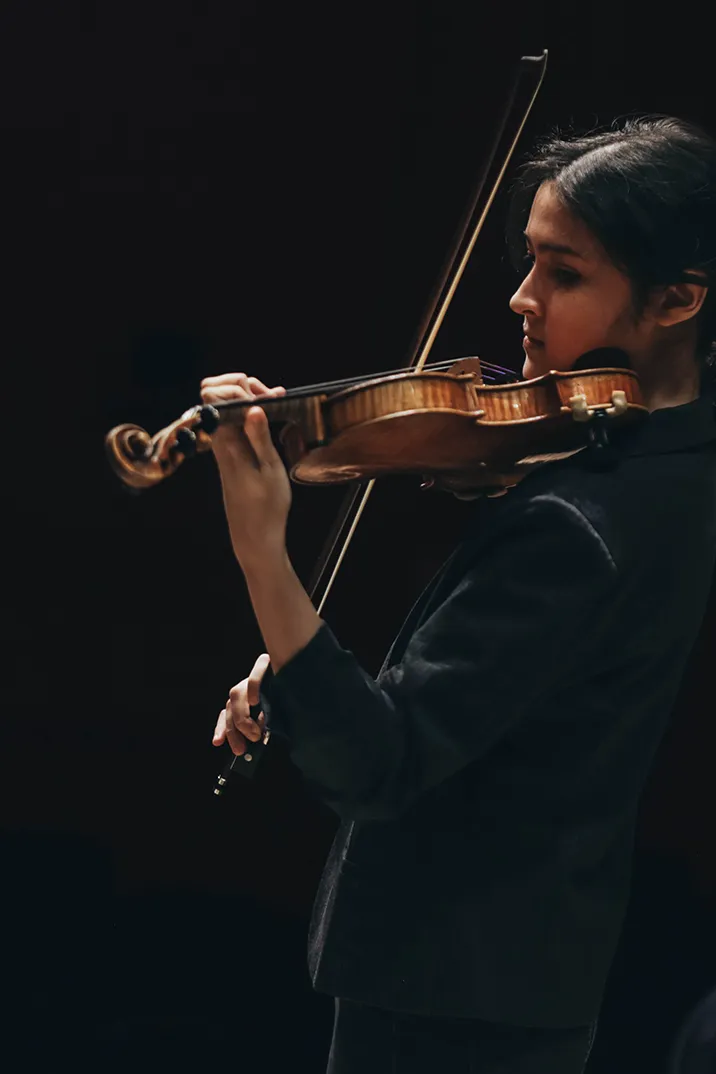 Image Sibelius and de Sarasate