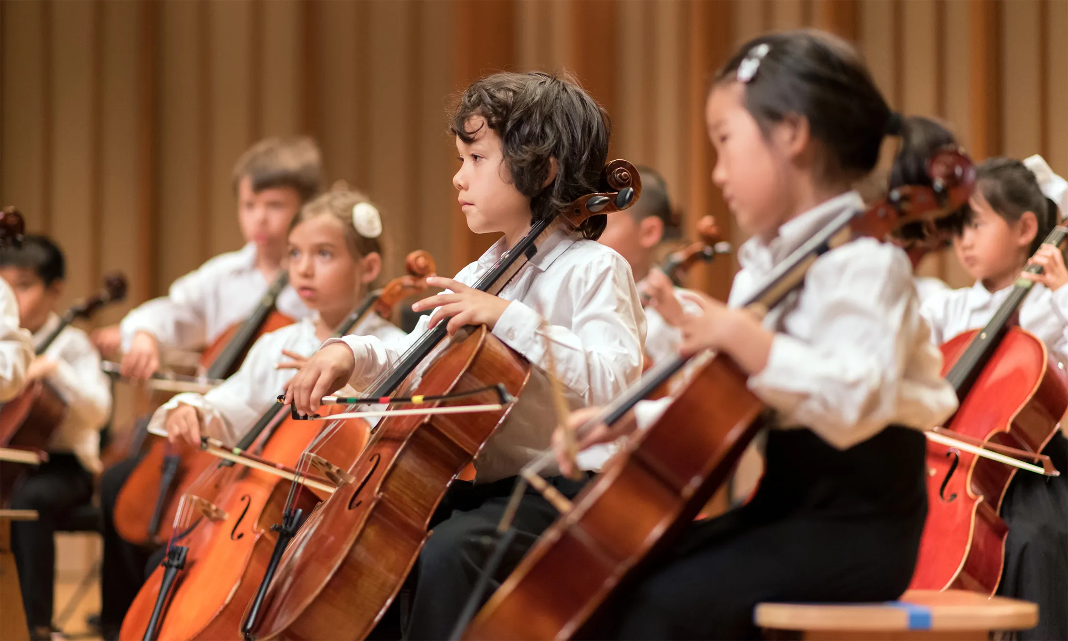 Image Suzuki Spring Festival