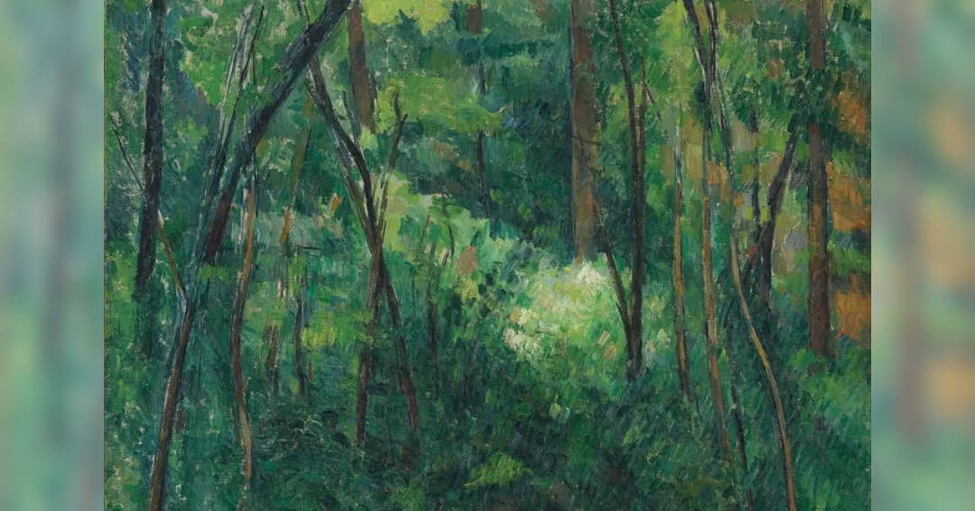 Image From the Natural World | Forest