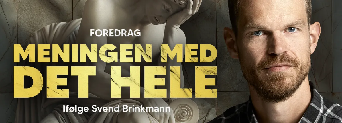 Image Svend Brinkmann