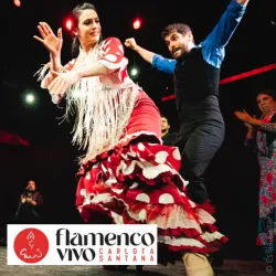 Image Flamenco Vivo Carlota Santana