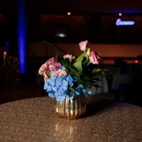 Image Opera Colorado Gala