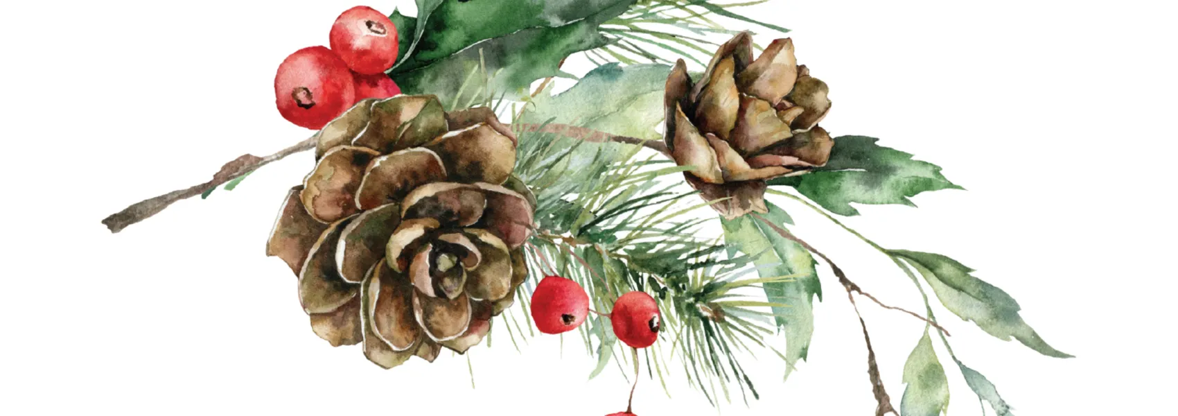 Image Wintergreen Wonderland Gala